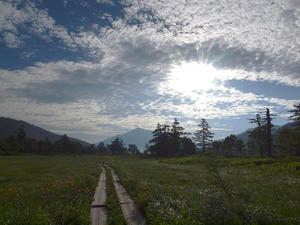 P7152025shuusei.JPG