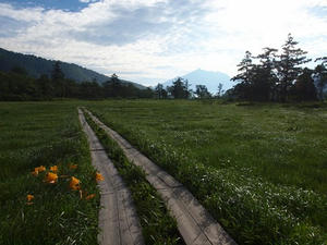 P7152030shuusei.JPG