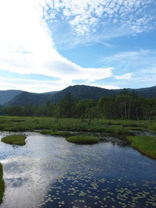 P7152062shuusei.JPG