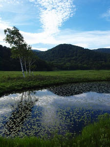 P7152105shuusei.JPG