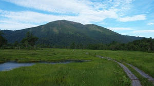 P7152079shuusei.JPG
