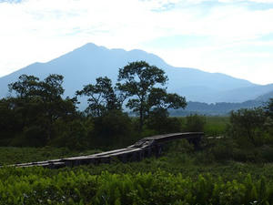 P7152140shuusei.JPG