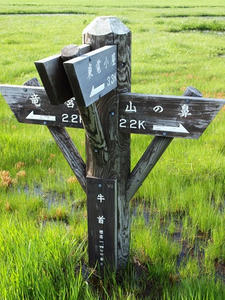 P7152158shuusei.JPG