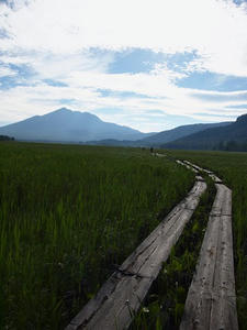 P7152146shuusei.JPG