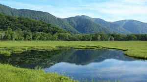 P7152154shuusei.JPG