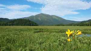 P7152167shuusei.JPG