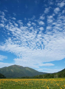 P7152183shuusei.JPG