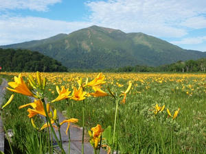 P7152188shuusei.JPG