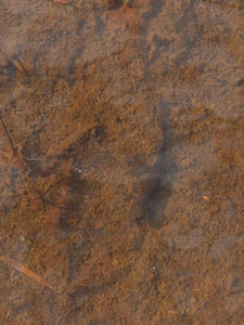 P7152249shuusei.JPG