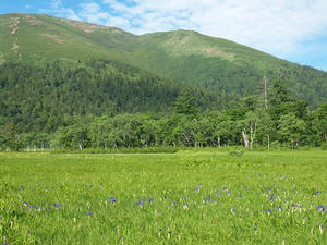 P7152280shuusei.JPG