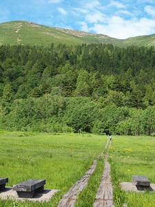 P7152307shuusei.JPG