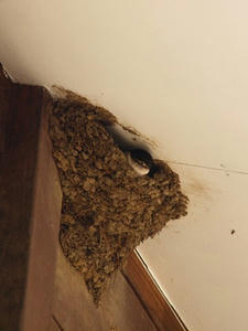 P7152301shuusei.JPG
