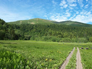 P7152303shuusei.JPG