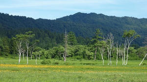 P7152305shuusei.JPG