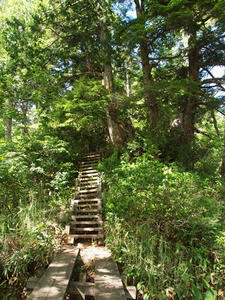 P7152311shuusei.JPG