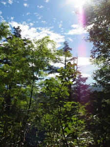 P7152314shuusei.JPG