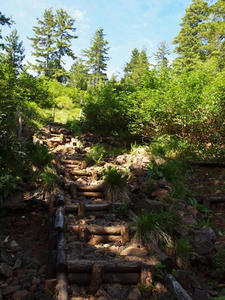 P7152318shuusei.JPG