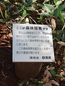 P7152329shuusei.JPG