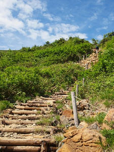 P7152340shuusei.JPG