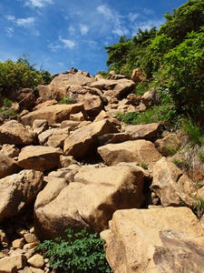 P7152360shuusei.JPG