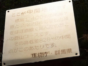 P7152365shuusei.JPG
