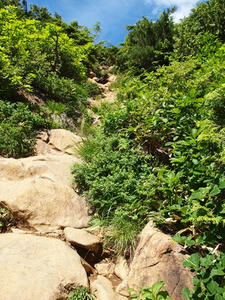 P7152371shuusei.JPG