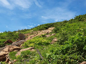 P7152373shuusei.JPG