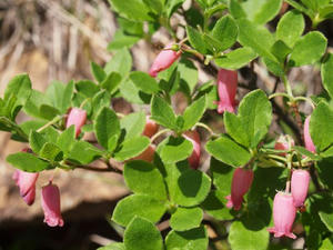 P7152378shuusei.JPG