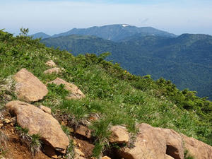 P7152379shuusei.JPG