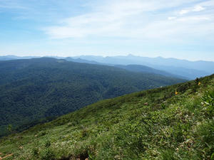 P7152381shuusei.JPG