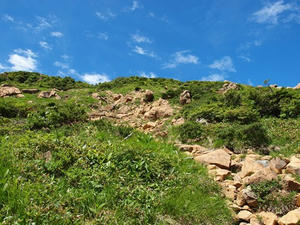 P7152382shuusei.JPG