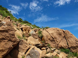 P7152383shuusei.JPG