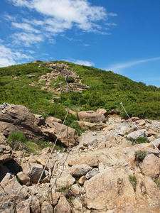 P7152399shuusei.JPG