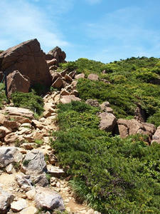 P7152433shuusei.JPG