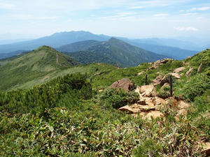 P7152438shuusei.JPG