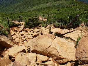 P7152439shuusei.JPG