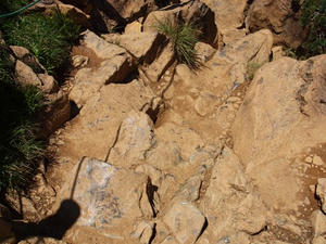 P7152442shuusei.JPG