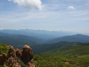 P7152447shuusei.JPG
