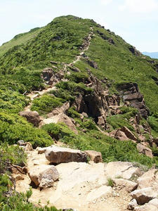 P7152481shuusei.JPG