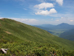 P7152494shuusei.JPG