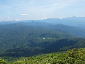 P7152504shuusei.JPG
