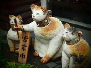 P8023846shuusei.JPG