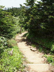 P7152555shuusei.JPG