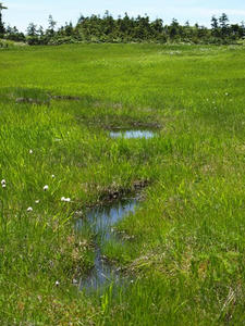P7152567shuusei.JPG