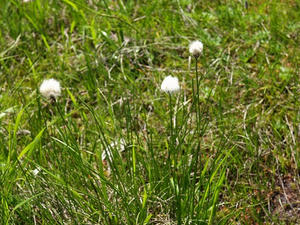 P7152566shuusei.JPG
