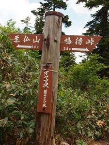 P7152579shuusei.JPG