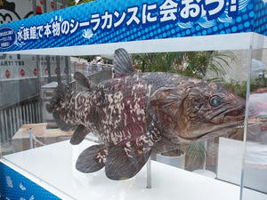 P8145178shuusei.JPG