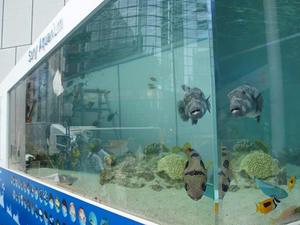 P8145025shuusei.JPG