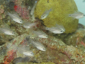 P8145060shuusei.JPG