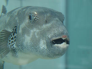P8145066shuusei.JPG